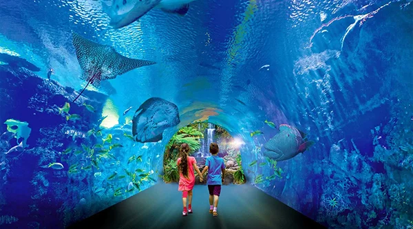 Cairns Tour Package